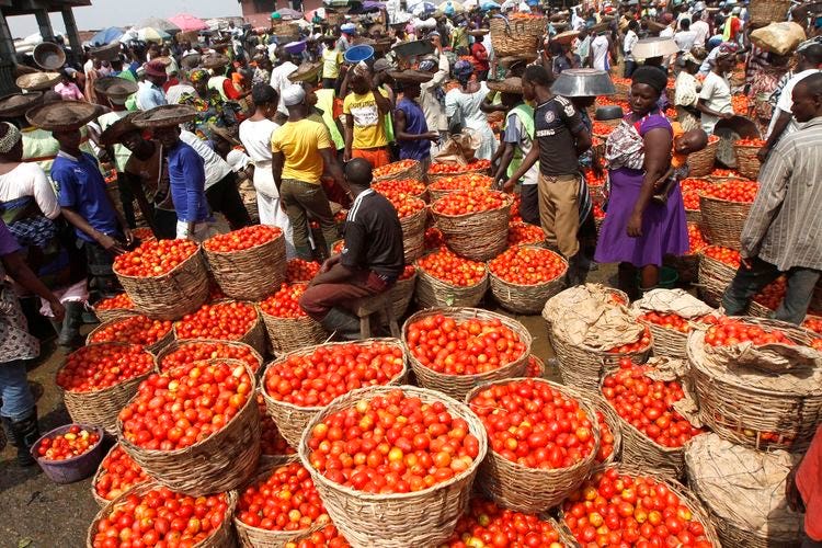 Tomatoes in a baskets at the market