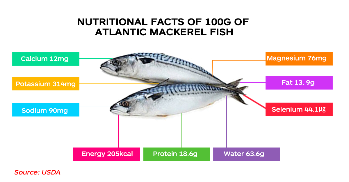 Nutritional composition of Atlantic mackerel aka original Titus fish