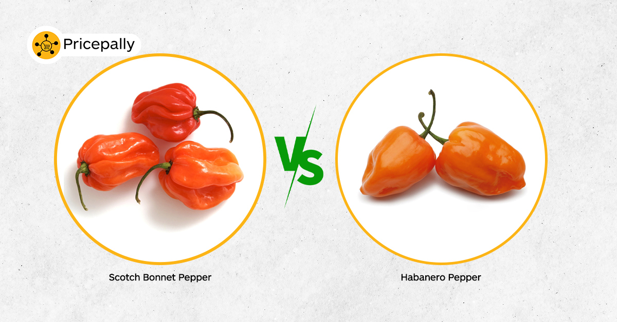 scotch bonnet pepper vs habanero pepper 