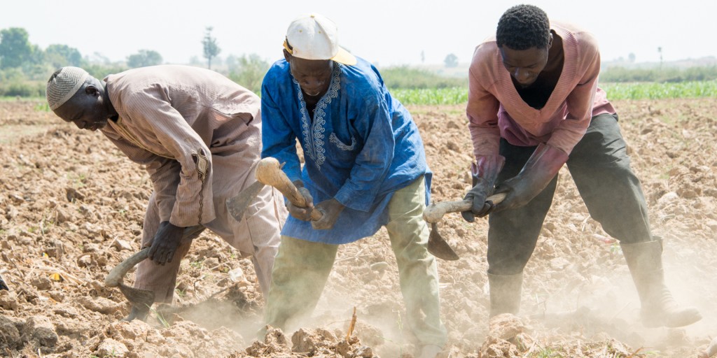 August food news: Attack on farmers