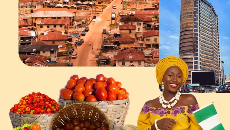 PricePally: The Home of Fresh Food in Ibadan