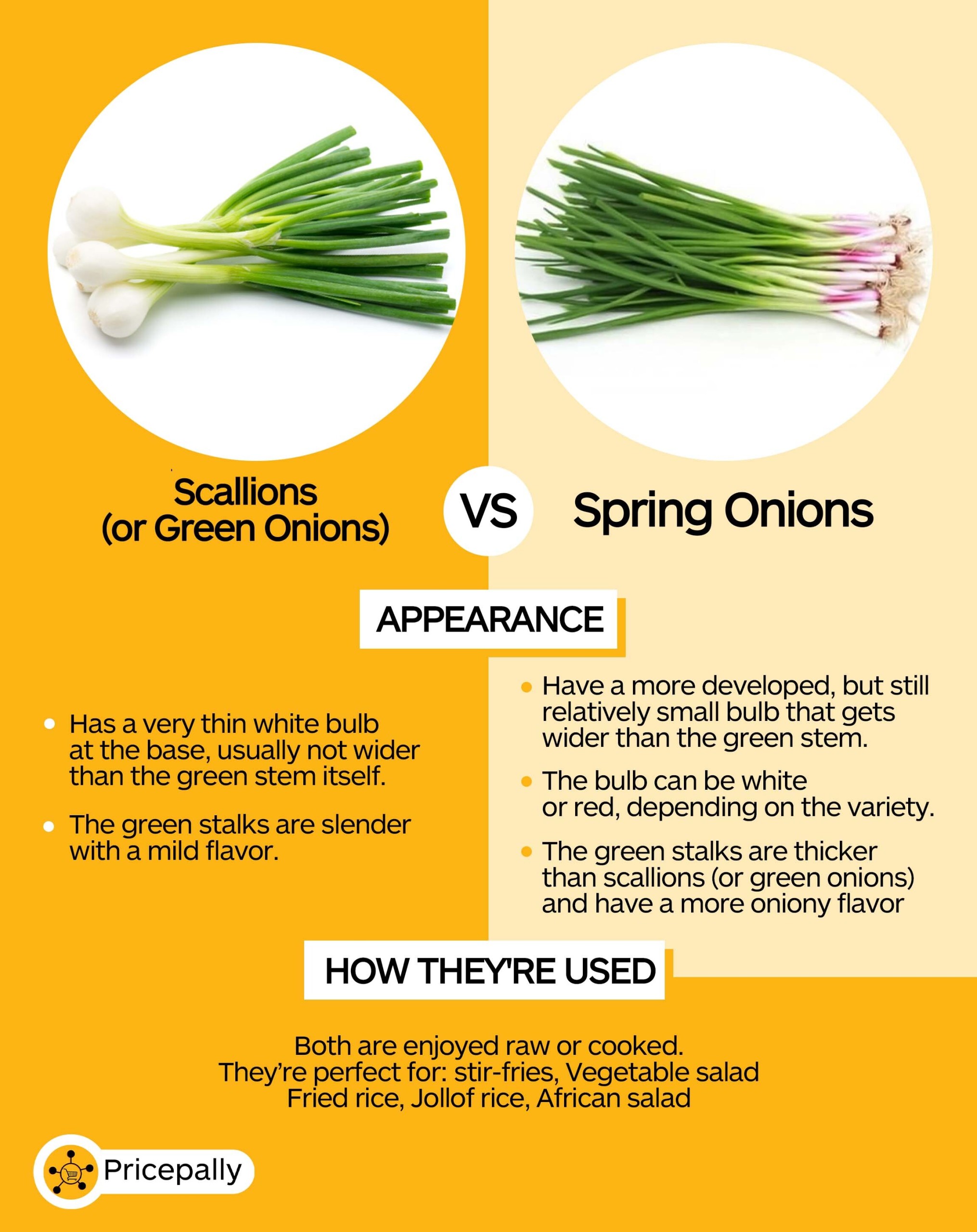 the difference between scallions (or green onions) and spring onions