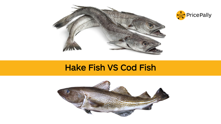 visual difference between hake and cod fish