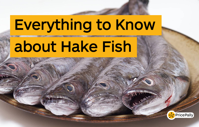 Everything to know about Hake fish before buying