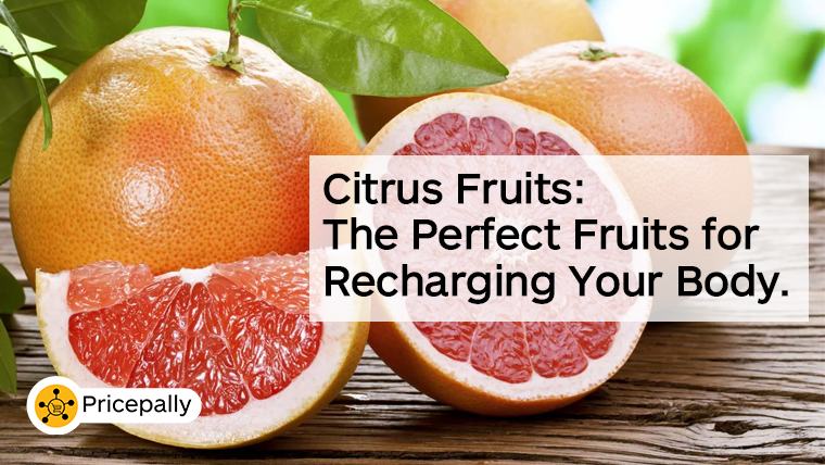 Citrus fruits: perfect fruits for recharging your body